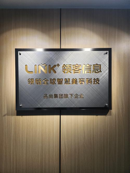 广州领客信息技术 专业赋能，智领未来